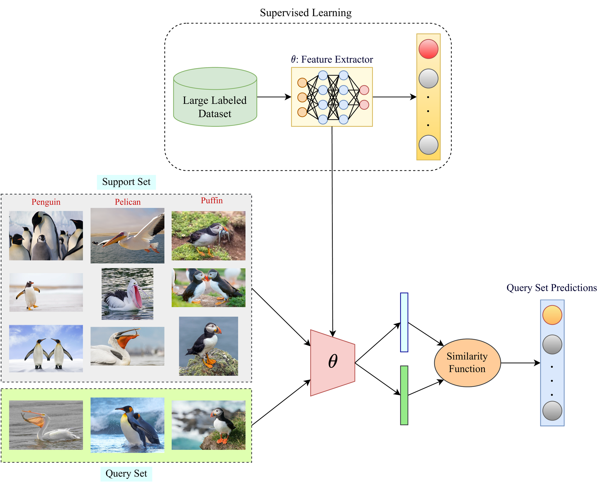 Targeted Learning: From Machine Learning to Inference