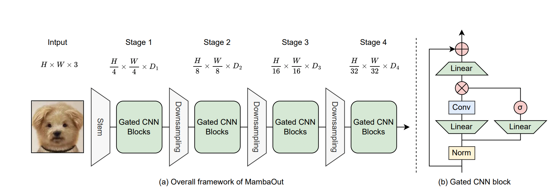 Overall framework of MambaOut