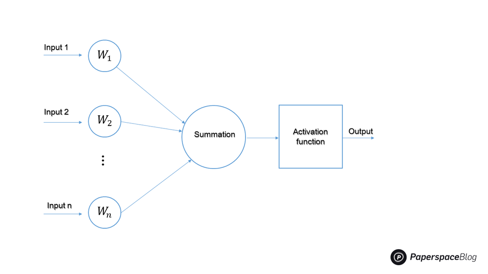 Feed-forward vs feedback neural networks