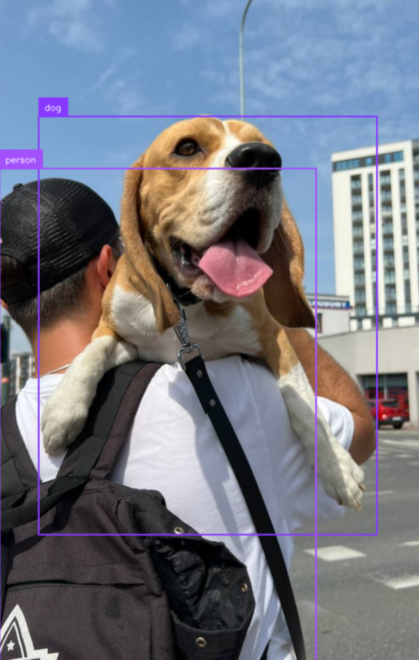 YOLOv10: Advanced Real-Time End-to-End Object Detection